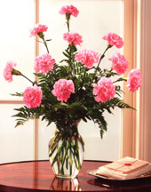 Carnation Arrangement