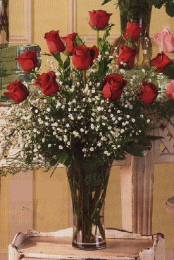 1 Dozen Long Stem Red Roses Arranged