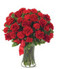 Red rose and carnation mix